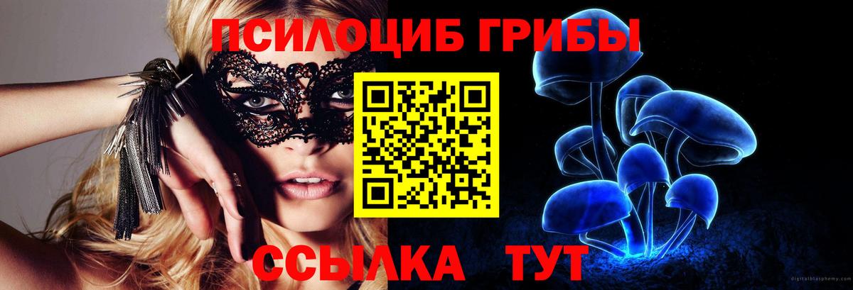 Псилоцибиновые грибы мицелий  Вход с VPN  Галлюциногенные грибы Cubensis  Отрадный 
